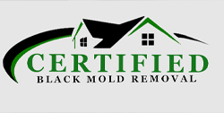 Certified Black Mold Removal