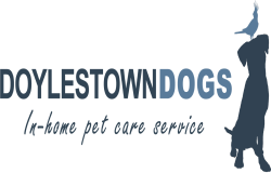 Doylestown Dogs LLC