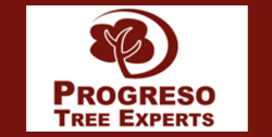 Progresso Tree Experts